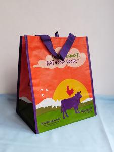 Fashionable Handheld Vertical Lunch Bag Waterproof Plastic Woven Bag Washable Shopping Bag Eco-Friendly Storage Organizer