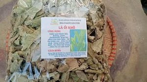1kg lá ổi sấy khô TẶNG 100g cỏ ngọt - hỗ trợ thanh nhiệt giải độc