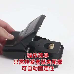 ดักหนู อุปกรณ์ดักหนู แบบสปริง ใช้ซ้ำได้, ความไวสูง คลิปเมาส์, ปลอดสารพิษ กับ ดักลาว กับ ดักหนูสปริง