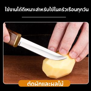 มีดปลอกผลไม้ มีดคู่ 2 in 1 เล็ก แบบพกพา ใบมีดสแตนเลสคุณภาพสูงคมแลเล็ก แบบพกพา ใบมีดสแตนเลสคุณภาพสูงคมและแข็ง