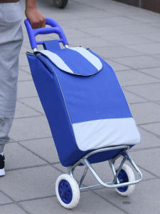 Portable Folding Shopping Cart Vegetable Buying Car Stair Climbing Hand Pulling Miniature Trolley Convenient Household Cart