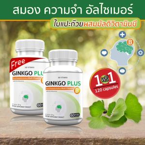 🔥 ส่งฟรี! ส่งไว 🔥 GB Ginkgo Plus-B อาหารเสริม ใบแปะก๊วยผสมวิตามินบีรวม สารสกัดใบแปะก๊วย--ซื้อคู่--(ทั้งหมด120 แคปซูล)