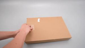 Khay Ủ Bột Gấp Gọn Có Bộ Phận Làm Nóng Để Làm Bánh Mì Và Ủ Sữa Chua Khay Nướng Bằng Nhựa Thân Thiện Với Môi Trường Của Willstar