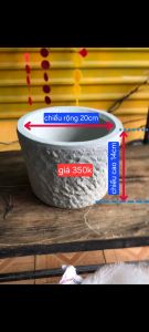 cối đá xanh nguyên khối cối giã cưa muối lạc gừng ớt tỏi hạt tiêu đều thích hợp ah