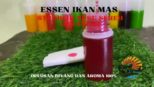 Essen Ikan Mas Aroma Stroberi Susu Sereh Geranium Umpan Mancing