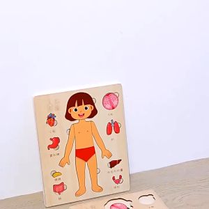 Montessori Wooden Jigsaw Puzzles Anatomy Game Human Body Puzzles Educational Tools for Kids Organs Model