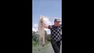 Jaring ikan jaring lempar jaring lempar tangan jaring lempar timah jatuh lempar jaring ikan gaya lama tradisional kuno jaring pemula mudah dilemparkan