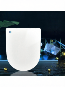 Factory Thick Slow-Closing Easy-Remove Toilet Seat