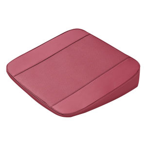 woniusiji | Stable All-Season Car Seat Height Booster