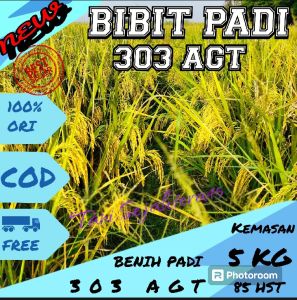 Benih Bibit padi New 303 AGT kualitas unggul kemasan 5kg