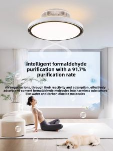 smeou | Modern Minimalist Ceiling Light with Fan for Bedroom
