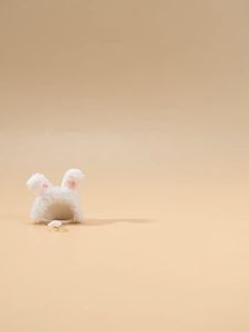 nón len vui nhộn cho hamster  sóc gerbil vẹt.. -T3 PETS SHOP
