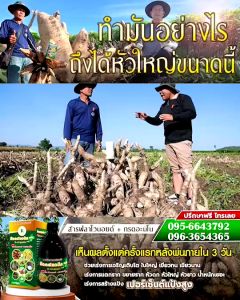 บีออแกนิคพลัส พร้อมส่ง 💥กรดอะมิโน + ฟลาโวนอยด์ ออร์แกนิคแท้ B Organic plus ปุ๋ยอินทรีย์ เกษตรอินทรีย์ บีออแกนิค พลัส ขนาด 100 cc