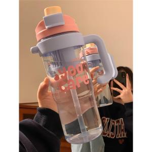 Large Capacity Straw Cup for Women Modern Minimalist Style Ice Dominator Cup Water Bottle Tea Water Separation Summer Drink