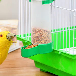 ซื้อ1แถม1 เครื่องให้อาหารนก ที่ให้อาหารน้ำพลาสติก อัตโนมัติ ขวดน้ำสำหรับนกแก้ว ถ้วยดื่ม ชาม อุปกรณ์สำหรับนก