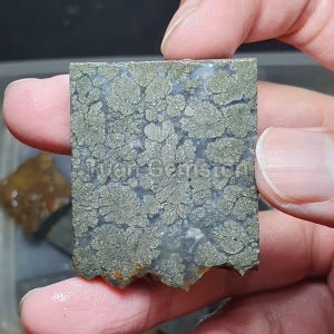 Batu Akik Bahan / Bongkahan Markasite Bengkulu Unik
