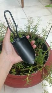 Xẻng trồng cây dùng để xới đất cào đất khi trồng cây dụng cụ dễ dàng hơn trong việc làm vườn