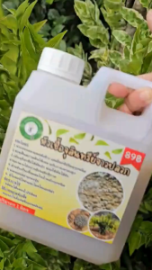 หัวเชื้อจุลินทรีย์จาวปลวก จากสวนพิวาโร่ (สามารถนำไปขยายต่อๆได้เรื่อยๆ) ขนาด 1 ลิตร