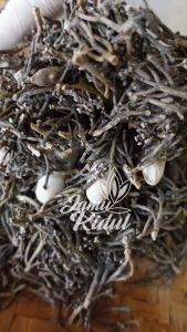 Batang Cengkeh 500gr Bersih dan Kering Murah