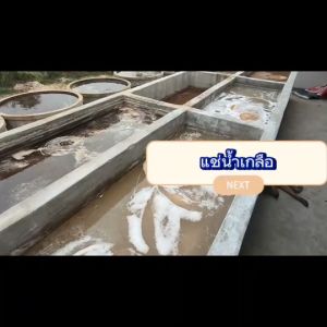 เขียงไม้มะขาม ไม้เค็ง ทรงกลม15นิ้วหนา5-10cm. แช่น้ำเกลือสูตรเฉพาะ จากโรงงานผลิตเขียงไทย