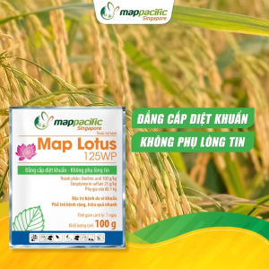 (Mappacific Singapore) Map Lotus 125WP Gói (25G) - ĐẲNG CẤP DIỆT KHUẨN - Hàng Hiệu Chính Hãng