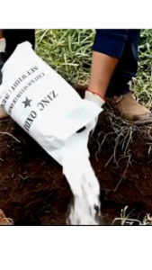 ซิ้งค์ออกไซด์ / Zinc Oxide /แร่สังกะสี แบ่งบรรจุ