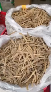 Sá Sùng Khô Đặc Sản Nha Trang Hàng Loại 1 500g