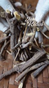 Akar Legi Kering 50 gr - Asli Hutan