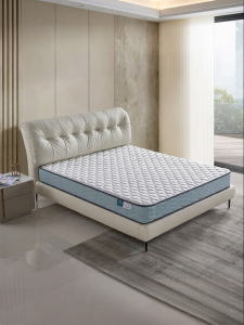 Airland | Orthopedic Household Latex & Coconut Spring Mattress