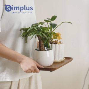 Simplus Vacuum Cleaner丨18000Pa Suction Power丨11 in 1 Interchangeable Nozzle Head丨4-Layer Stertilization