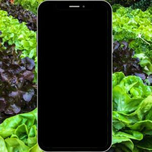 Media Semaian Sabut Kelapa Cocopeat Biji Benih Anak Pokok Tanaman