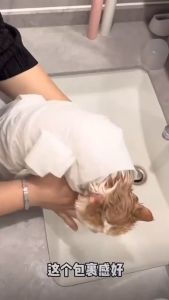 Pet Bath Towels Disposable Thickened Super-Absorbent Towel Portable Travel Towels for Dogs Cats