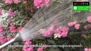 ANAHCHAK ฝักบัวรดน้ำต้นไม้ หัวบัวแสตนเลส อุปกรณ์รดน้ำต้นไม้ รดหญ้า ขนาด 2 นิ้ว