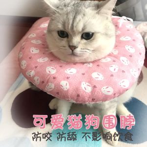 Mũ Trùm Đầu Bảo Vệ Thú Cưng Mèo Vòng Tròn Màu Trắng ELIZABETH Vòng Làm Nhục Chống Trầy Xước Chống Liếm Vòng Chống Nước
