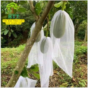 [50*70cm] 100 CÁI TÚI BAO BỌC MÍT THÁI LƯỚI TỐT KÍCH THƯỚC 50*70 -TÚI BỌC TRÁI CÂY