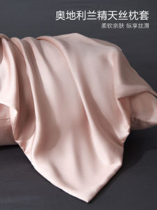 Summer Ice Silk Pillowcase Pair High-End Silk Feel New Model Inner Core Pillowcase Breathable Cool Touch Bedding Accessories