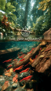 THE 2HR Aquarist APT SKY PLUS (S+)