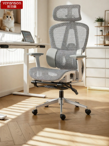 YOULANSEN | Ergonomic Adjustable Office Chair