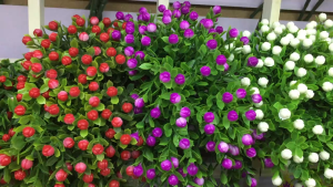 【LOCAL SELLER】5PCS-Mini Imitation Fake Flower Green Plant Pot Decoration Plant Small Plastic Flower Single