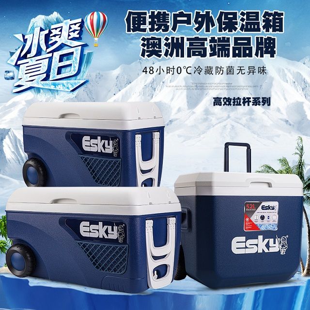 Esky Incubator VehicleMounted Home Use Takeaway Ice Cube Portable