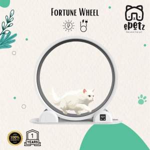 READY STOCK!!! ePetz Cat Treadmill Puppies&Cat Running Wheel aBS Fel with Cable Charging/Solar Charging