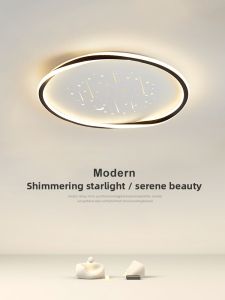 Hongji | Modern Minimalist Popularity Atmosphere Ceiling Light