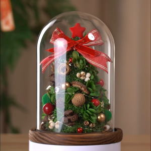 【Local Seller】Christmas Tree Collection Table Decor Mini Fresh Christmas Tree Xmas Home Room Decor Gifts