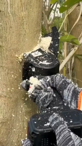 6 inches Mini Chainsaw Wireless Clipping saw 48V battery Rechargeable lithium battery electric saw clippingSaw Wood Cutting Tree Pruning Electric Saw Rechargeable Lithium Battery (with a full set of machine accessories)