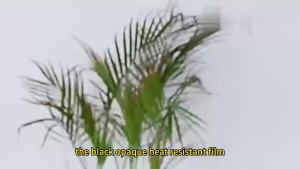 Phim Cách Nhiệt Cửa Sổ 100% Chống Nắng Chống Tia UV Tự Dính Chất Liệu Vinyl Cách Nhiệt Trang Trí Nhà Cửa & Chống Nắng