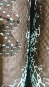 (TẶNG TẤM LÓT+ VỚ) giày đá banh mira GALAXY s1 đá bóng sân cỏ mini bóng đá dày rẻ rẽ futsal