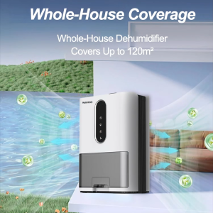 【SG Stock】 H6 Dehumidifier Air Purifier 1L/D | 2L Tank | 2 in 1 Air Purifier Dehumidifier