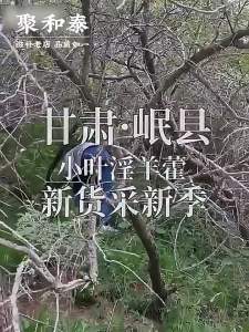 JUHETAI | Thực Phẩm Bổ Sung Cho Nam Giới Epimedium