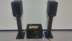 D800 D900 2.1 Channel Digital Bluetooth Power Amplifier Board AC 220V DC 12-24V Subwoofer Karaoke System