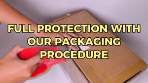 Lotus Biscoff Biscuit Big Box 300pcs / 1pack (50pcs)